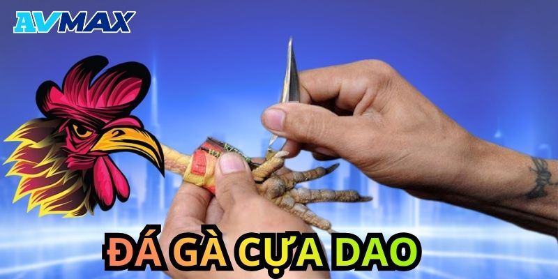 đá gà cựa dao