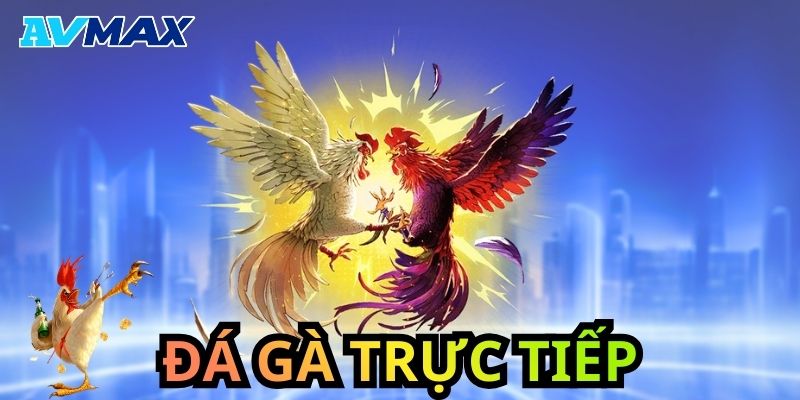 Đá gà trực tiếp