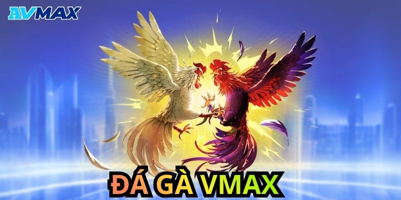 Tổng quan về đá gà Vmax