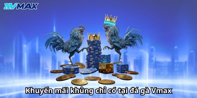 Khuyến mãi khủng chỉ có tại đá gà Vmax