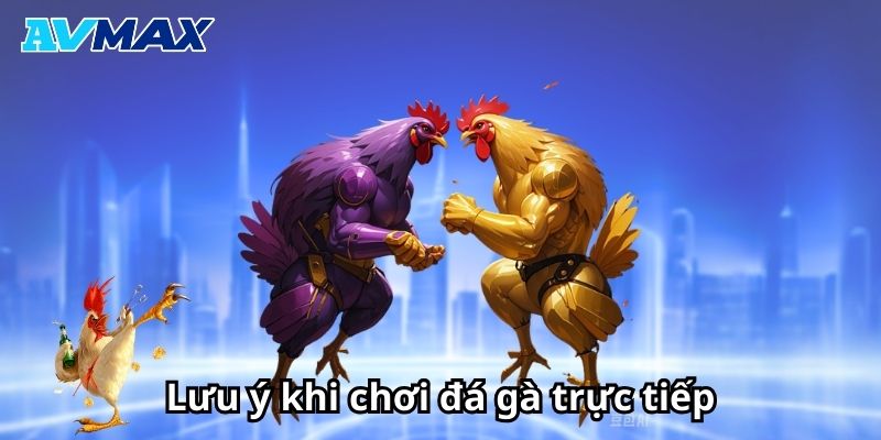 Lưu ý quan trọng khi chơi đá gà trực tiếp