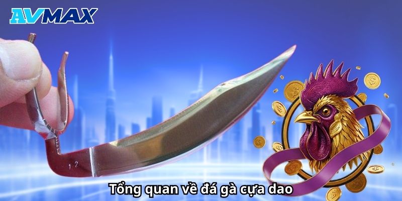 Giới thiệu tổng quan về đá gà cựa dao Giới thiệu tổng quan về đá gà cựa dao